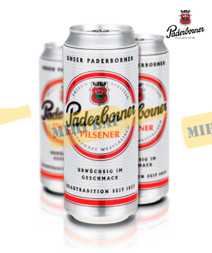 Упаковка пива Paderborner Pilsener, 0,5л х 24шт. 000006045 фото
