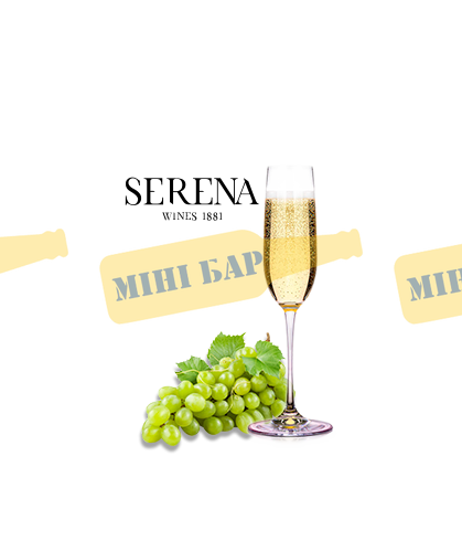 Итальянское игристое вино &laquo;BIANCO FR&raquo; ТМ PIU FIZZ белое сухое, КЕГ 24л 000004605 фото